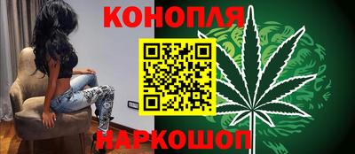 сатива Моздок