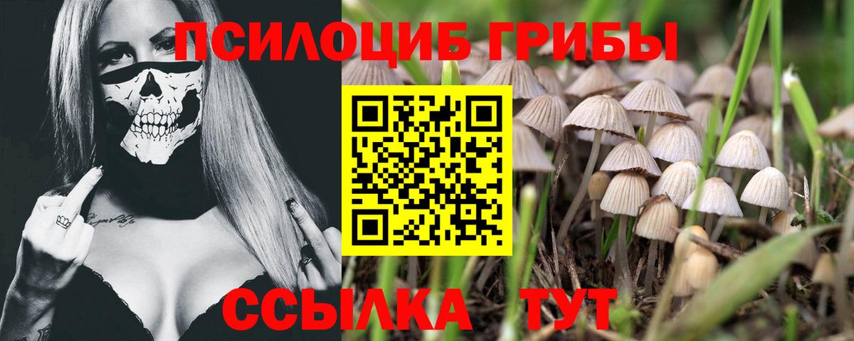 Галлюциногенные грибы Cubensis Воскресенск