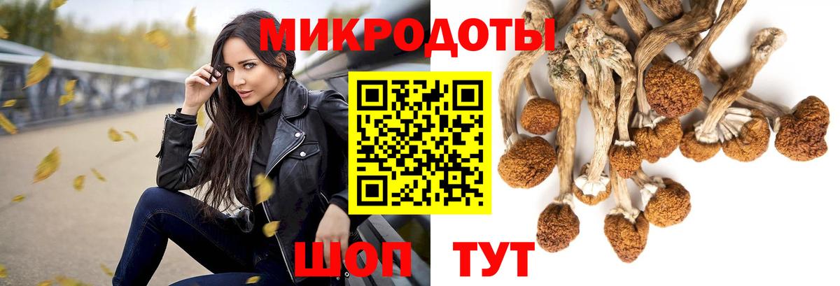 Галлюциногенные грибы Cubensis  Галлюциногенные грибы прущие грибы  Воскресенск  Вход с VPN 